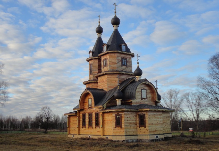 Пустынь. Церковь Успения Пресвятой Богородицы. общий вид в ландшафте