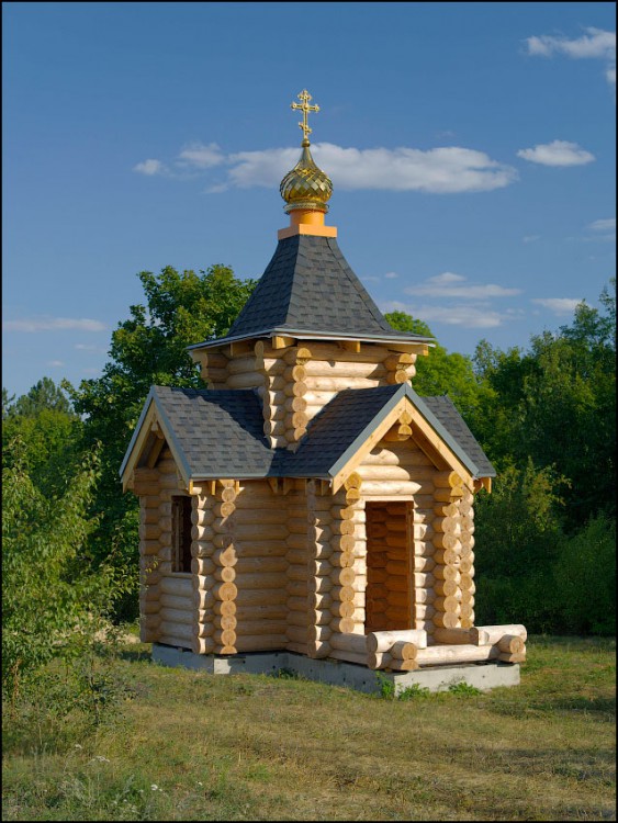 Часовня Матроны Московской, Полибино (Данковский район, Липецкая область). общий вид в ландшафте