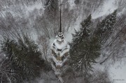 Церковь Рождества Пресвятой Богородицы - Дмитрий-Грива - Галичский район - Костромская область
