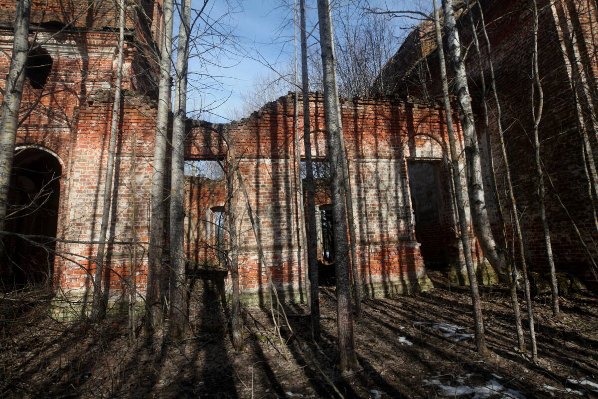 Церковь Введения Пресвятой Богородицы во храм, Дурцово, урочище (Галичский район, Костромская область). архитектурные детали