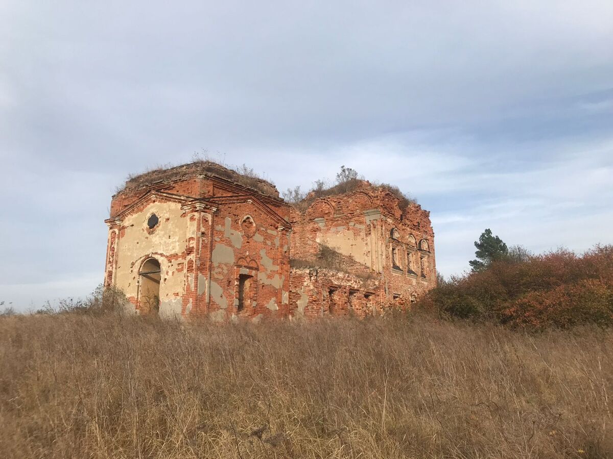 Церковь Покрова Пресвятой Богородицы, Темрянь (Белёвский район, Тульская область). фасады