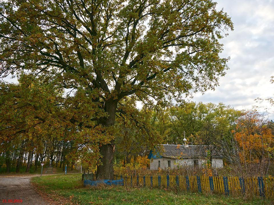 Церковь Николая Чудотворца, Ивольск (Буда-Кошелевский район, Беларусь, Гомельская область). фасады