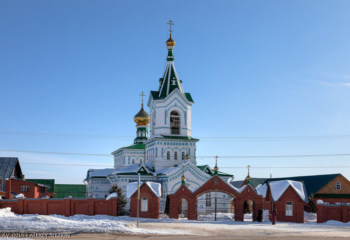 Успенский женский монастырь, Перевозное (Воткинский район и г. Воткинск, Республика Удмуртия). общий вид в ландшафте