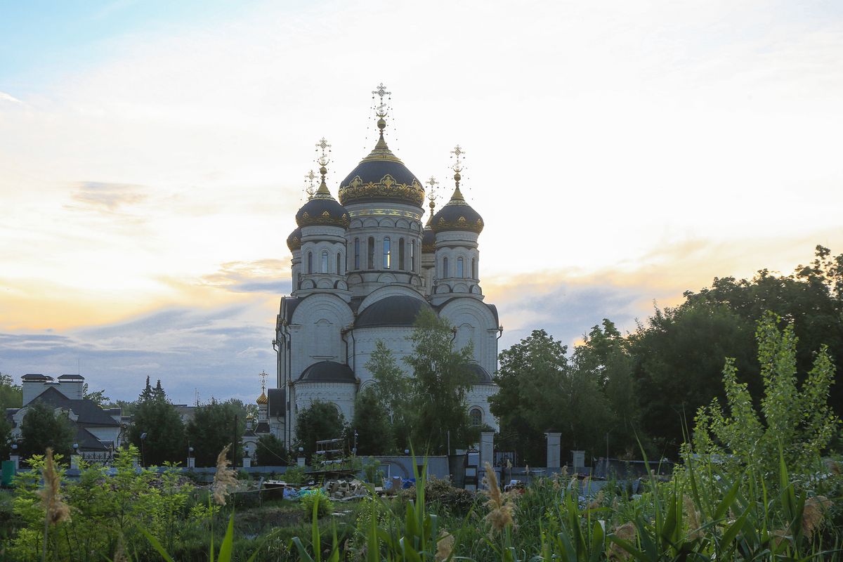 Кафедральный собор Богоявления Господня, Горловка (Горловский район, Украина, Донецкая область). общий вид в ландшафте
