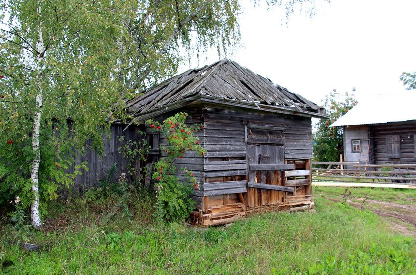 Неизвестная часовня, Демьяново, деревня (Подосиновский район, Кировская область). общий вид в ландшафте