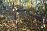 Церковь Иоанна Предтечи - Романово - Ковернинский район - Нижегородская область