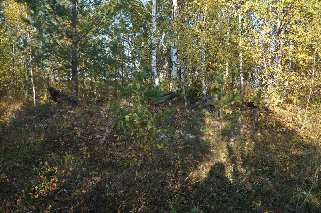 Церковь Иоанна Предтечи, Романово (Ковернинский район, Нижегородская область). дополнительная информация