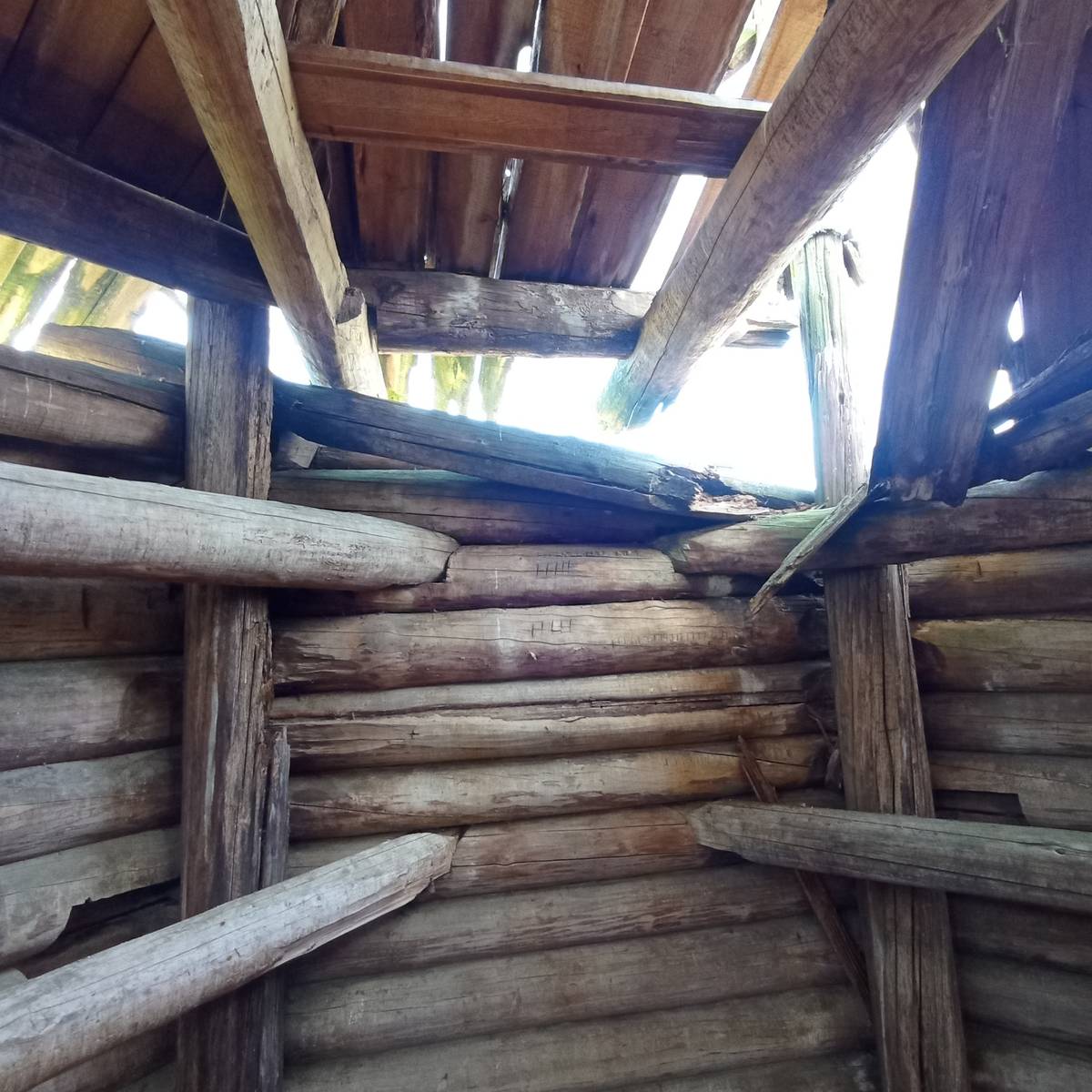 Церковь Рождества Христова, Болкачевская (Усть-Пуя) (Шенкурский район, Архангельская область). интерьер и убранство