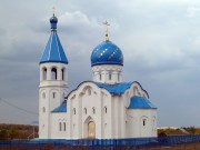 Церковь Покрова Пресвятой Богородицы, Покровская церковь в панораме села Александровка<br>, Александровка, Большеглушицкий район, Самарская область
