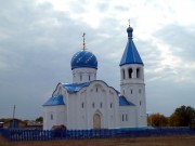 Церковь Покрова Пресвятой Богородицы, Покровская церковь в панораме села Александровка<br>, Александровка, Большеглушицкий район, Самарская область