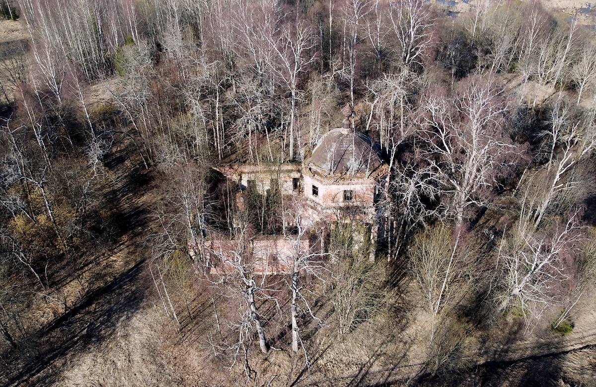 общий вид в ландшафте. Церковь Покрова Пресвятой Богородицы, Ширятино (Кесовогорский район, Тверская область)