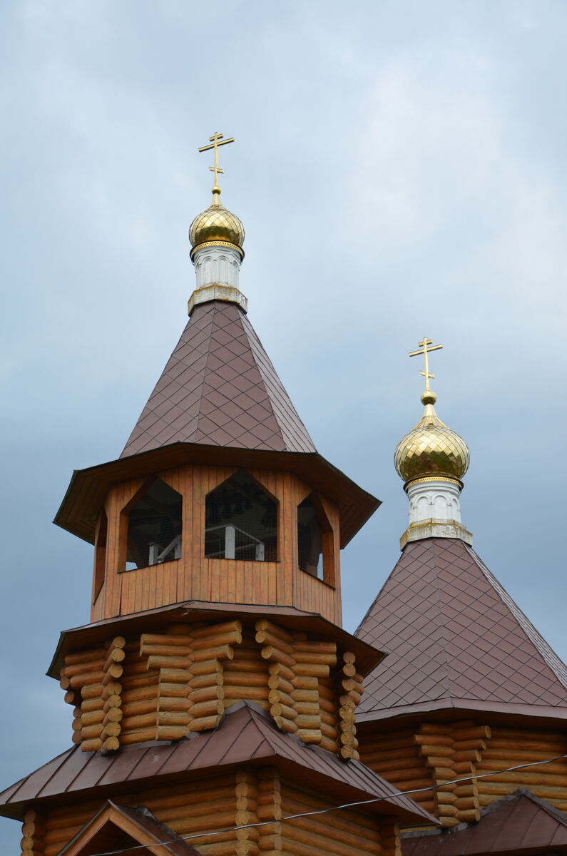 Церковь Владимира, митрополита Киевского, Новые Выселки (Зубово-Полянский район, Республика Мордовия). архитектурные детали