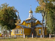 Церковь Иоанна Богослова, , Изосимово, Мичуринский район и г. Мичуринск, Тамбовская область
