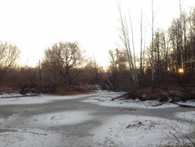 Боровое (Александровское). Церковь Рождества Пресвятой Богородицы