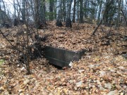 Церковь Параскевы Пятницы - Дубны - Ульяновский район - Калужская область