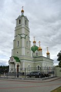 Церковь Александра Невского - Мучкапский - Мучкапский район - Тамбовская область