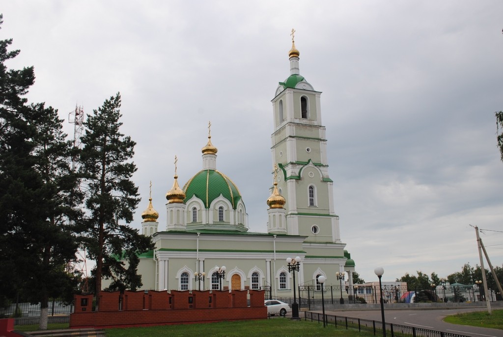 Церковь Александра Невского, Мучкапский (Мучкапский район, Тамбовская область). фасады, Вид с северной стороны.