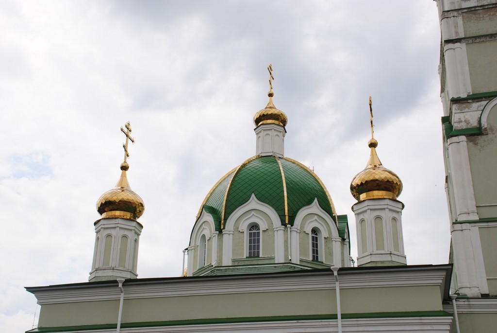 Церковь Александра Невского, Мучкапский (Мучкапский район, Тамбовская область). архитектурные детали, Купола.
