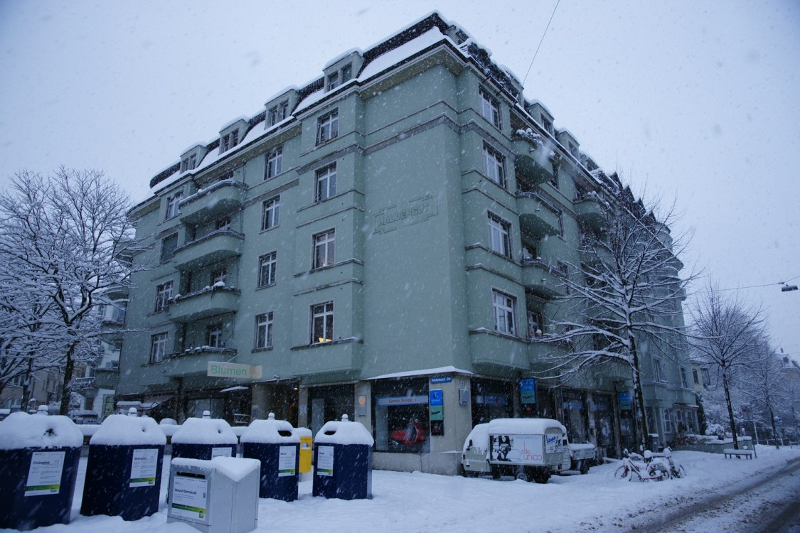 Церковь Покрова Пресвятой Богородицы, Цюрих (Швейцария, Прочие страны). общий вид в ландшафте