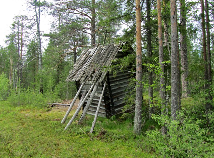 Неизвестная часовня, Кенский волок, урочище (Плесецкий район, Архангельская область). фасады, вид с юго-востока