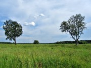 Часовня Арефы, великомученика, вид с запада на место часовни<br>, Раколово, урочище, Каргопольский район, Архангельская область