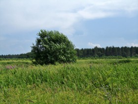 Раколово, урочище. Часовня Арефы, великомученика