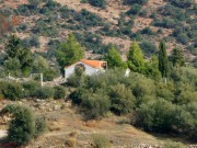 Неизвестная церковь, , Апидея, Пелопоннес (Πελοπόννησος), Греция