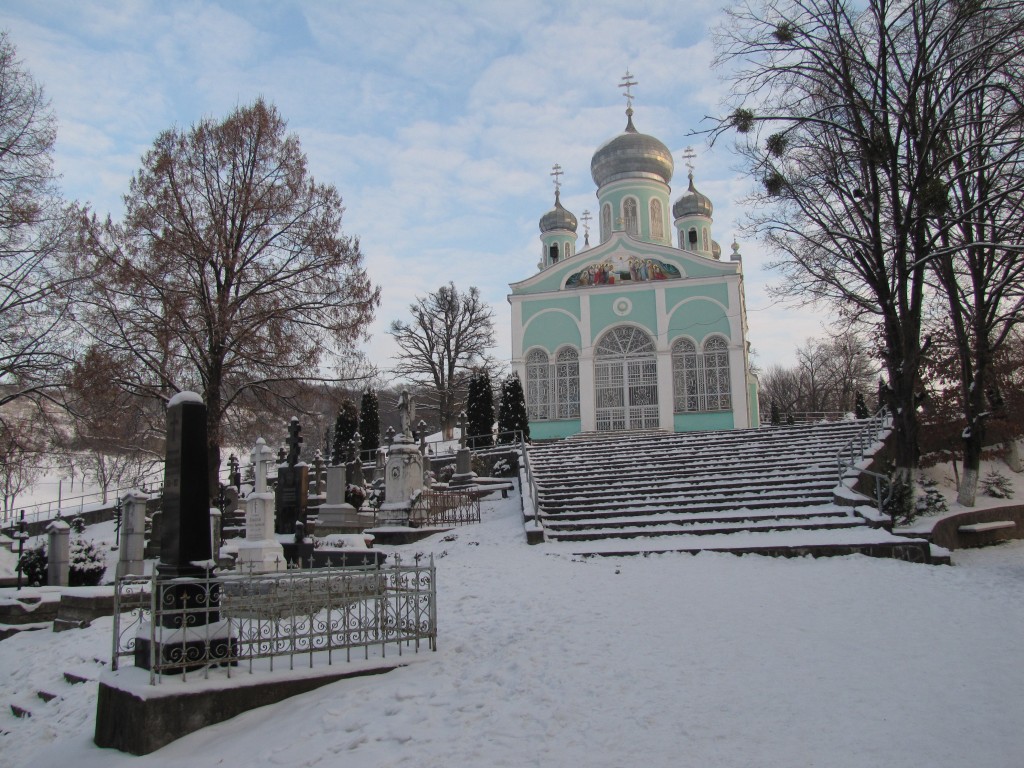 Николаевский Мукачевский монастырь. Церковь Успения Пресвятой Богородицы, Мукачево (Мукачевский район, Украина, Закарпатская область). общий вид в ландшафте