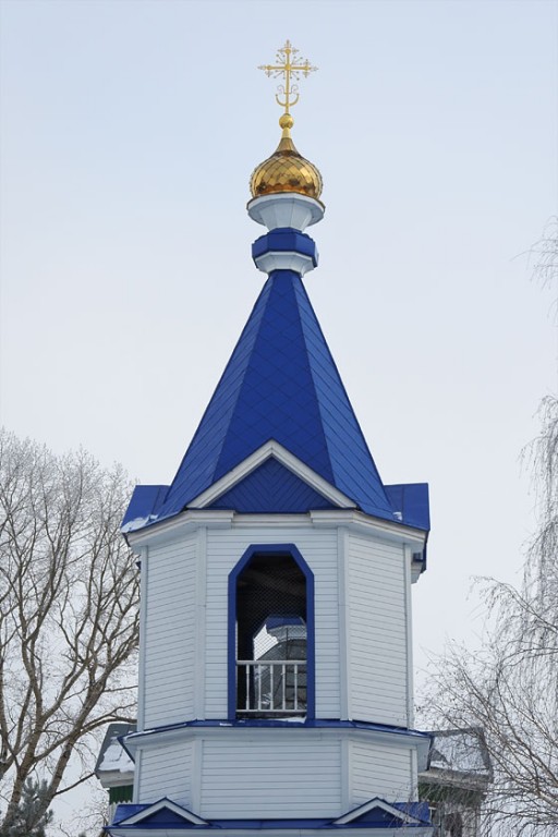 Церковь Покрова Пресвятой Богородицы, Ольховка (Инжавинский район, Тамбовская область). архитектурные детали