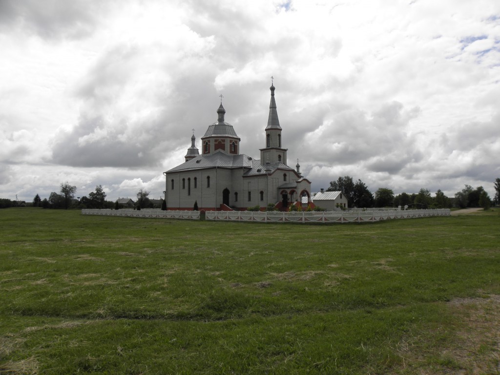 Церковь Михаила Архангела, Плещицы (Пинский район, Беларусь, Брестская область). общий вид в ландшафте