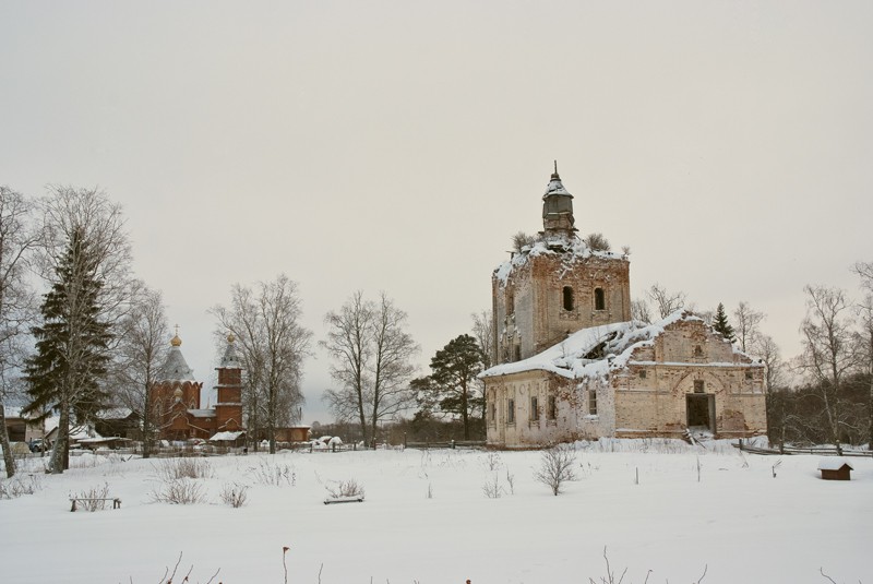 Церковь Иоанна Предтечи, Заручевская (Вельский район, Архангельская область). общий вид в ландшафте, Ансамбль Владимирской и Предченской церквей