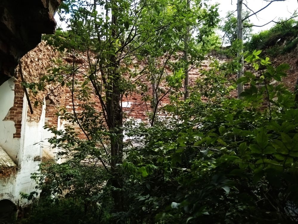 Церковь Покрова Пресвятой Богородицы, Горка-Покровская (Вологодский район, Вологодская область). фасады