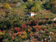 Неизвестная часовня, , Ладас, Пелопоннес (Πελοπόννησος), Греция