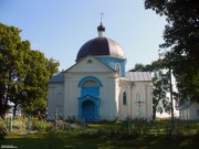 Церковь Рождества Пресвятой Богородицы, , Радчицк, Столинский район, Беларусь, Брестская область