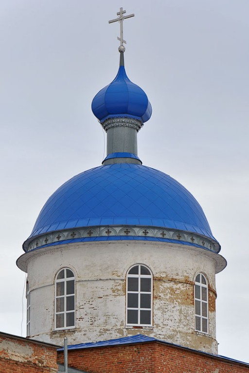 Церковь Казанской иконы Божией Матери, Васильевка (Токарёвский район, Тамбовская область). архитектурные детали