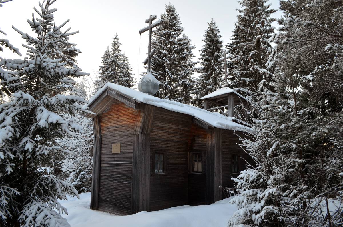 фасады. Часовня Илии Пророка, Низ (Майнема) (Плесецкий район, Архангельская область)