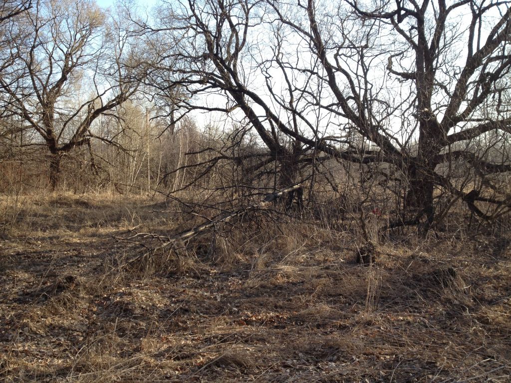 Церковь Покрова Пресвятой Богородицы, Покровское (Суворовский район, Тульская область). общий вид в ландшафте, Вид на храмовое место