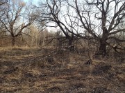 Церковь Покрова Пресвятой Богородицы, Вид на храмовое место<br>, Покровское, Суворовский район, Тульская область