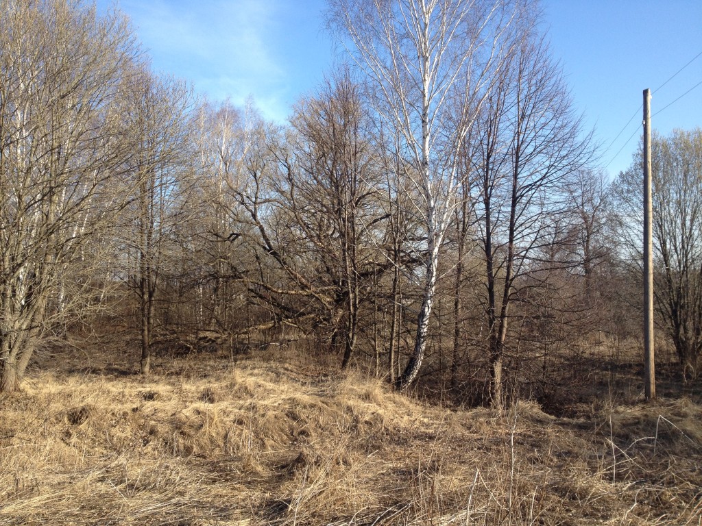 Церковь Покрова Пресвятой Богородицы, Покровское (Суворовский район, Тульская область). дополнительная информация, Вид на храмовое место