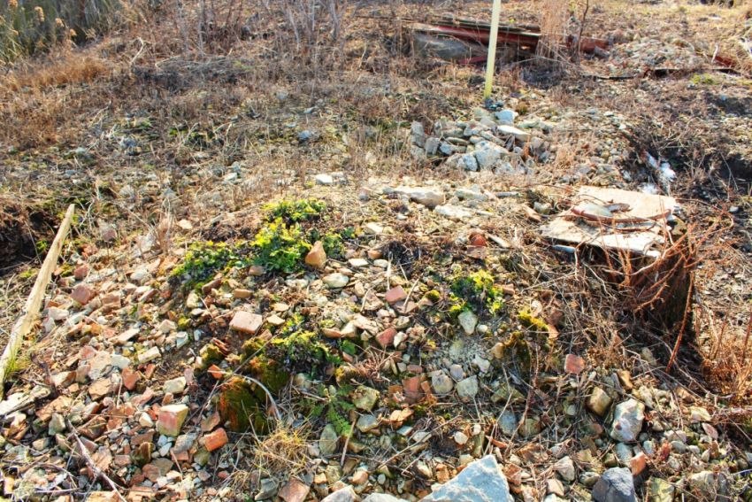 Болхов. Церковь Покрова Пресвятой Богородицы. художественные фотографии, Груда кирпичей из фундамента храма