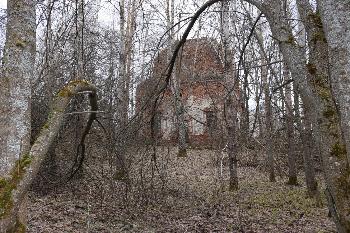 Церковь Николая Чудотворца, Поймашь (Угличский район, Ярославская область). фасады, Вид с юга