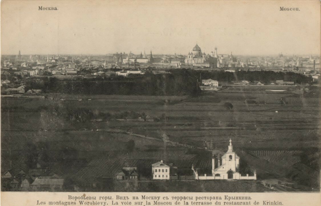 Церковь Тихвинской иконы Божией Матери в Малых Лужниках, Хамовники (Центральный административный округ (ЦАО), г. Москва). архивная фотография, Почтовая открытка 1900-х гг. Храм внизу, чуть правее от центра.