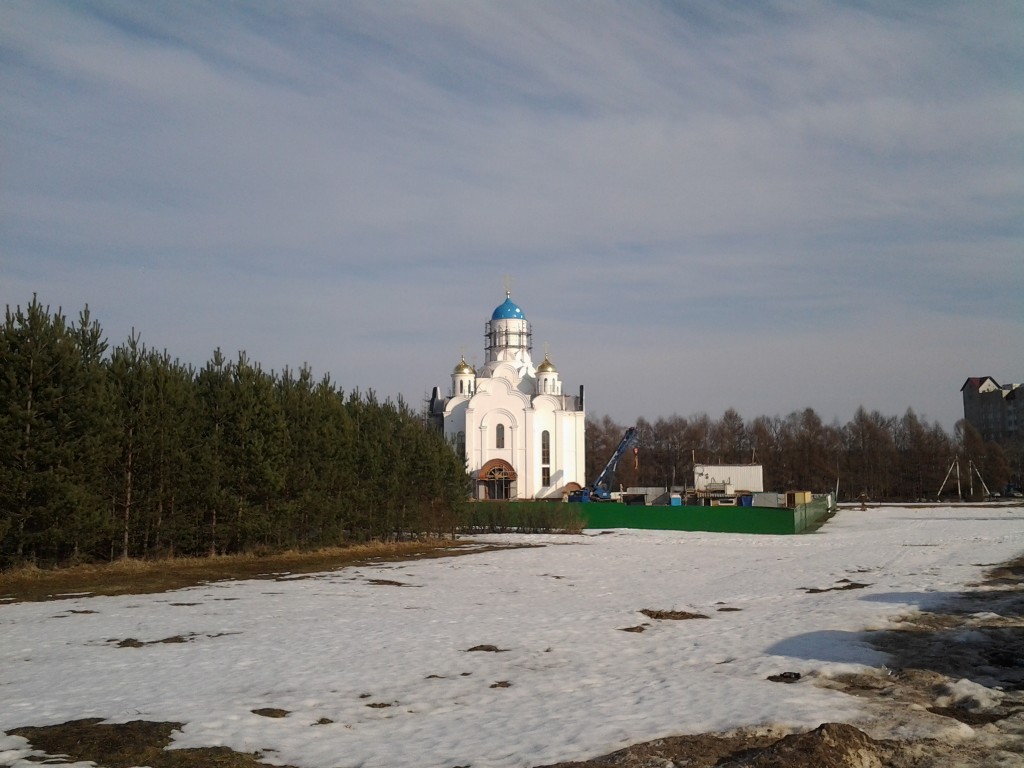 Церковь Первосвятителей Московских, Горки Ленинские (Ленинский городской округ, Московская область). общий вид в ландшафте