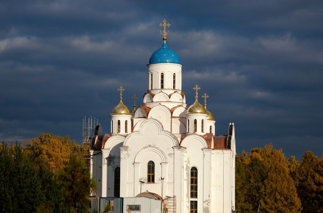 Церковь Первосвятителей Московских, Горки Ленинские (Ленинский городской округ, Московская область). общий вид в ландшафте