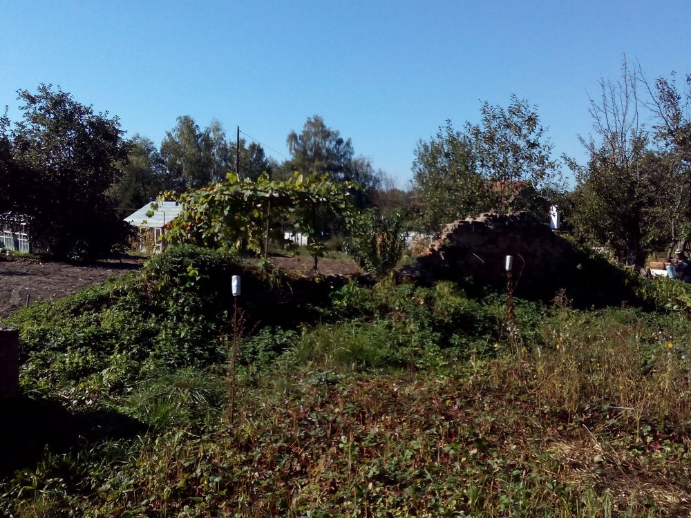 Богородичный Всехсвятский женский монастырь, Болхов (Болховский район, Орловская область). фасады, Остатки ограды монастыря в огороде местного жителя