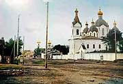 Челябинск. Одигитриевский женский монастырь.