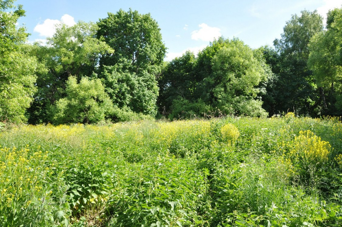Церковь Троицы Живоначальной, Долгие Лески (Каменский район, Тульская область). общий вид в ландшафте