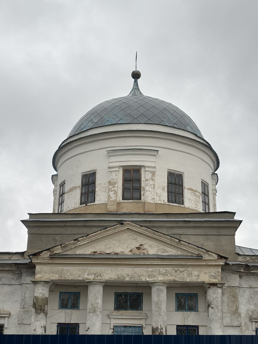 Церковь Рождества Христова, Нижняя Добринка (Жирновский район, Волгоградская область). архитектурные детали