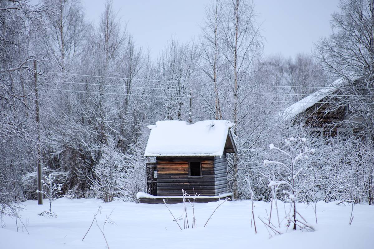 фасады. Часовня Георгия Победоносца, Верховье (Верхняя Мудьюга, Митинская, Ряхковская) (Онежский район, Архангельская область)