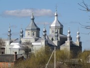 Собор Благовещения Пресвятой Богородицы, , Ковель, Ковельский район, Украина, Волынская область